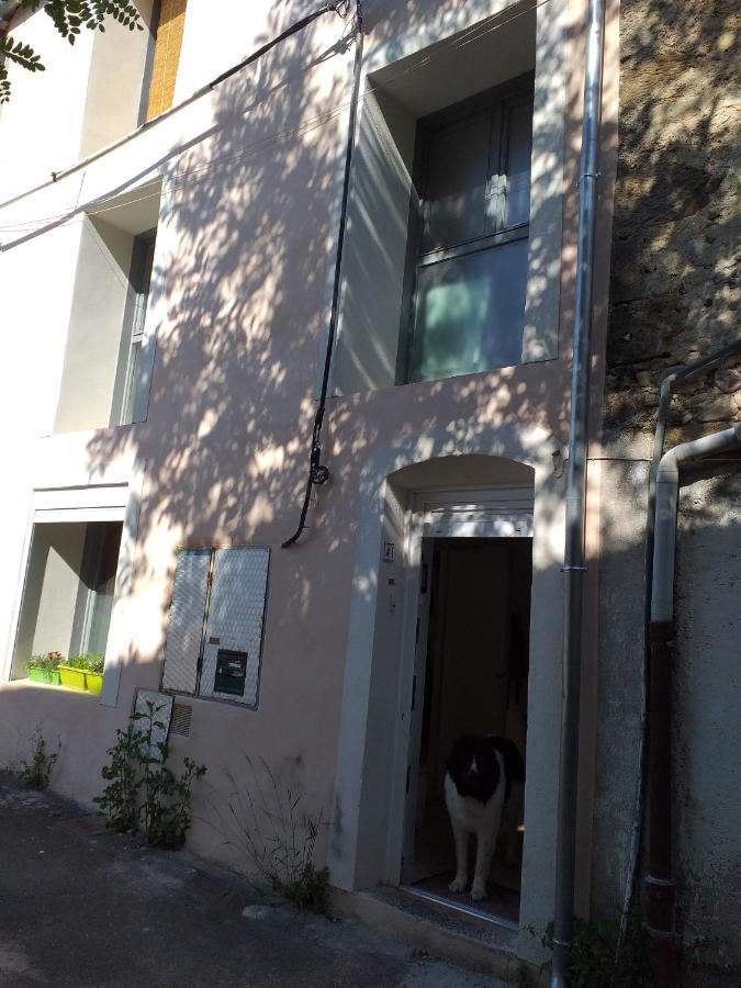 La Maison D Annick Apartment Lodeve Exterior photo
